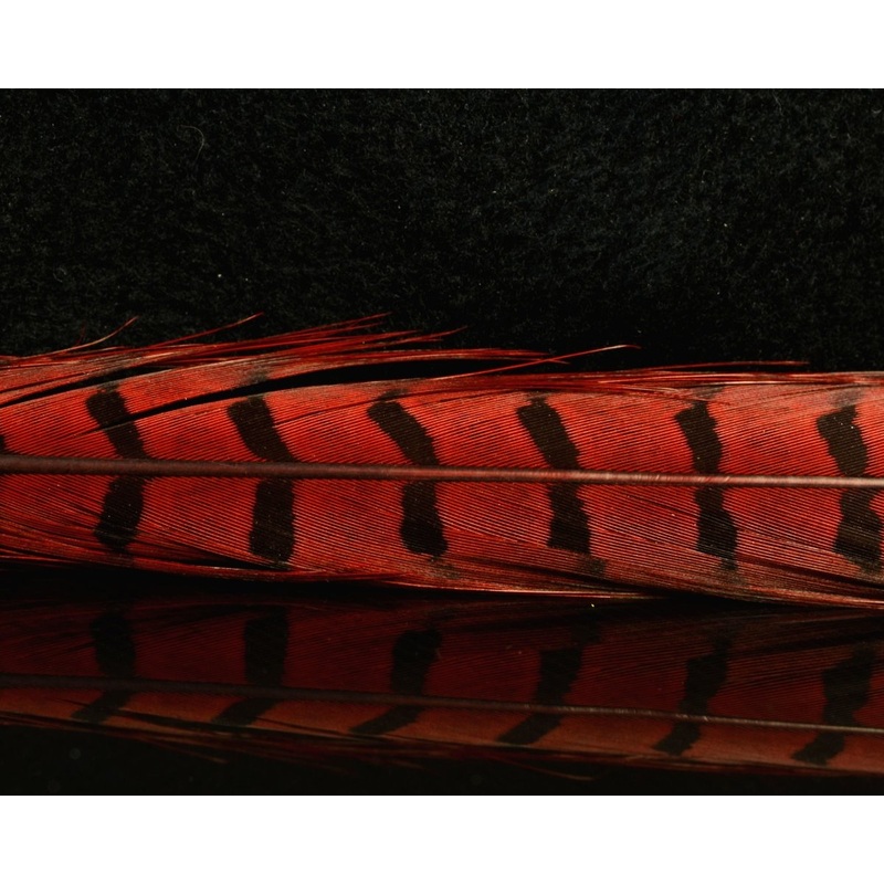 Nature’s Spirit Ringneck Pheasant Center Tails Black