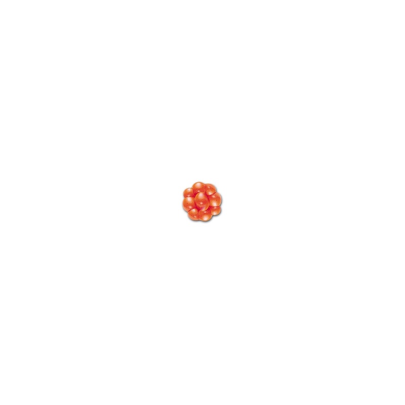 Berkley PowerBait Trout/Steelhead Egg Clusters Fluorescent Orange