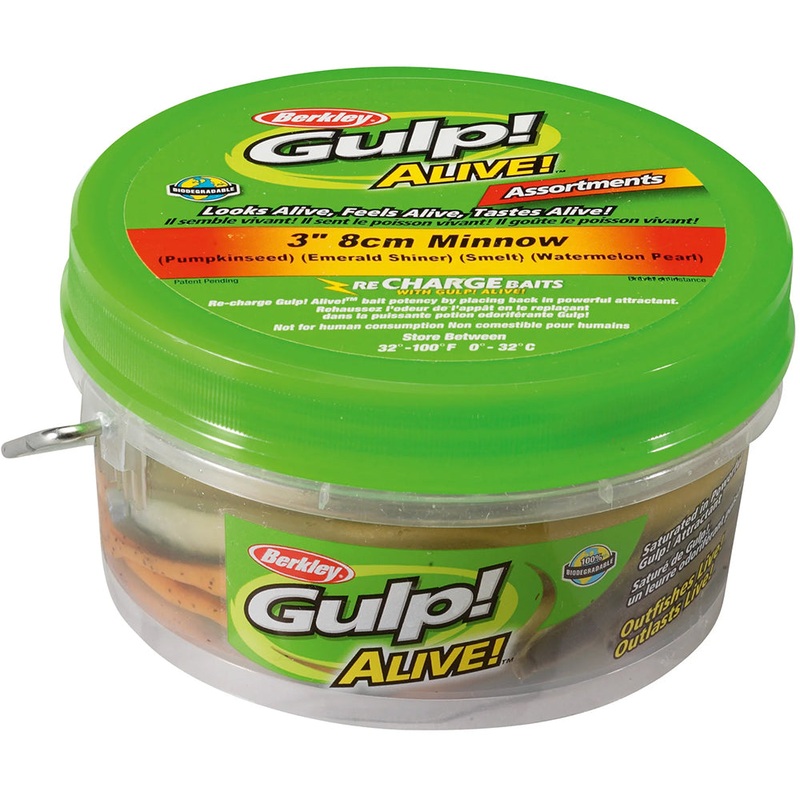 Berkley Gulp! Alive! Minnow Assortment – 3 Inch Assorted 3 in