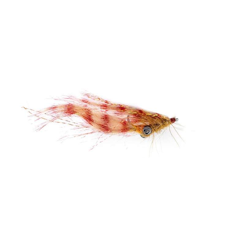 Umpqua Crafty Shrimp WTD (3-Pack) 4