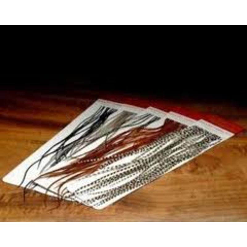 Montana Fly Company Whiting Farms 100’s Dry Fly Hackle Black 10