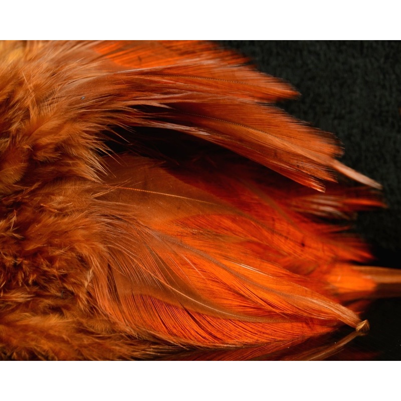 Fish Hunter Saddle Hackle Black
