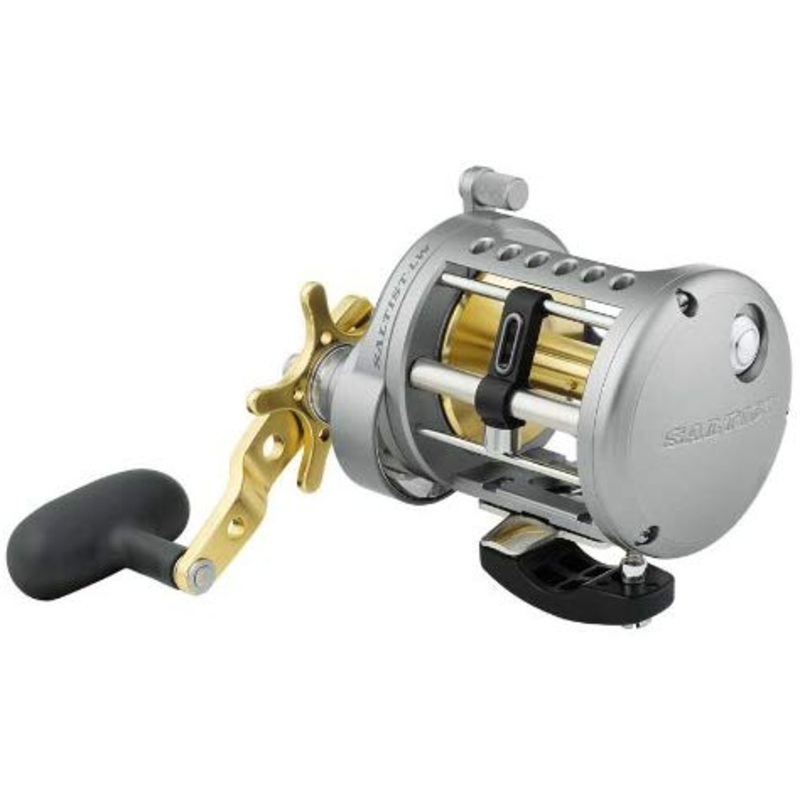 Daiwa Saltist Conventional Reel, 4 (4 Crbb) + 1 , 6.1 : 1 STTLW20HA