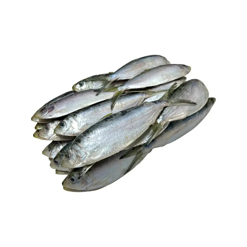 BIONIC BAIT FROZEN SMALL THREAD HERRING 1LB