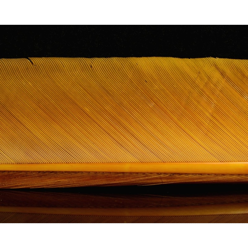 Nature’s Spirit Turkey Biots Golden Stone