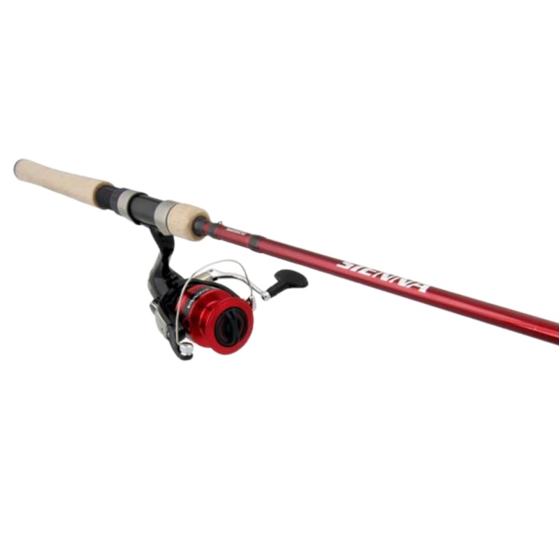 Shimano – Sienna Combo 2500 HG 66 M