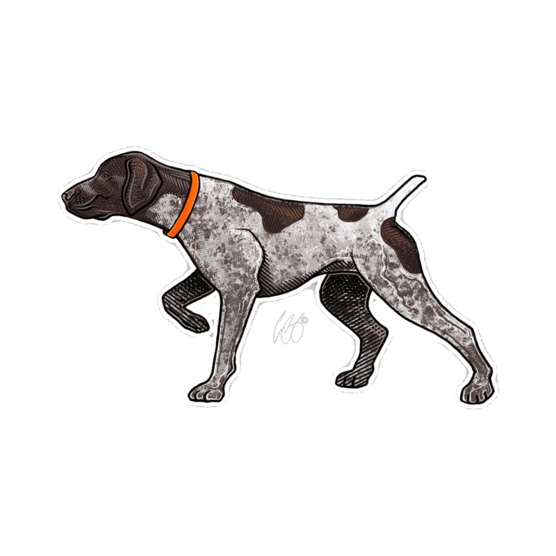 BIRD DOG DECALS / STICKERS GERMAN SH POINT
