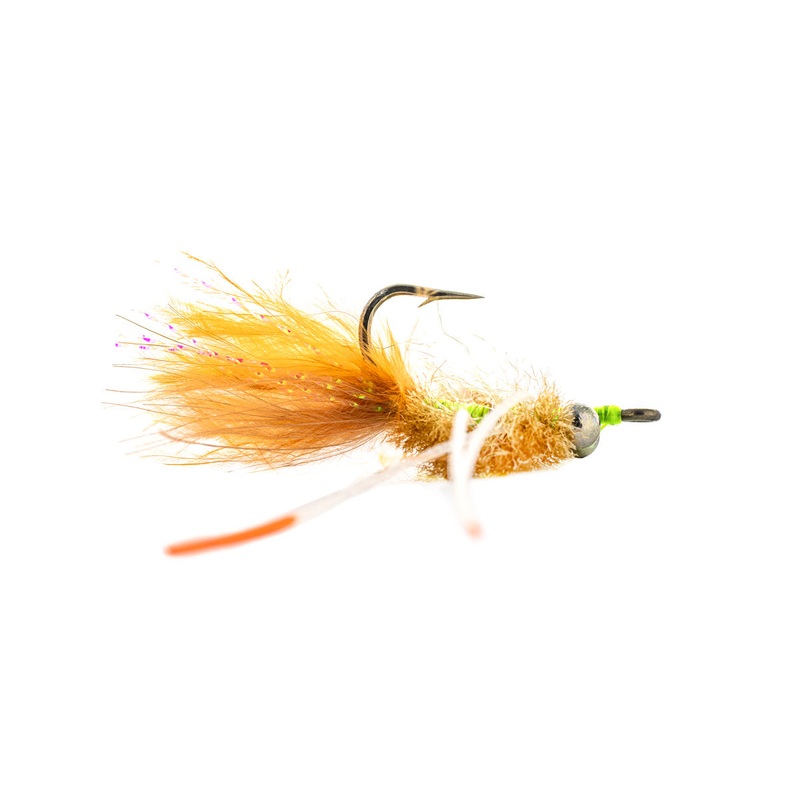 Solitude Permit Crab (3-Pack) 4