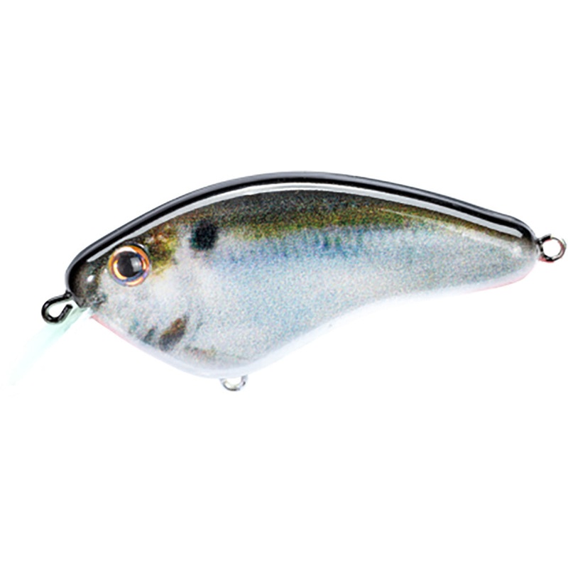 Strike King Hardliner Flat Sided Crankbait – 2.5 Inch Baby Carp