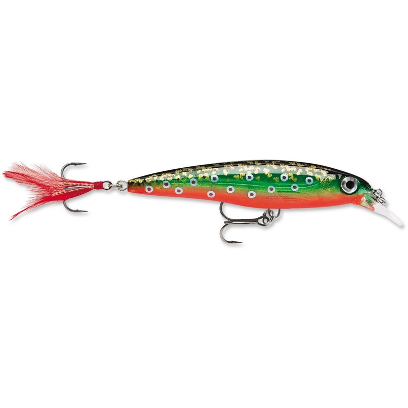 Rapala XR-06 X-Rap Shallow Diving Jerkbait – 2.5 Inch Brook Trout