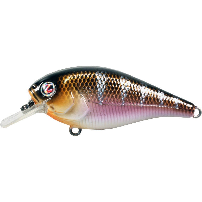 River2Sea Biggie Smalls Bumpin’ Rattle Fast Squarebill Abalone Shad