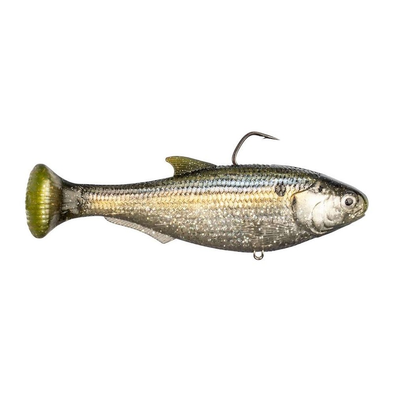 Z-Man Shadtron Lt 6″ Fast Sink Fishbone
