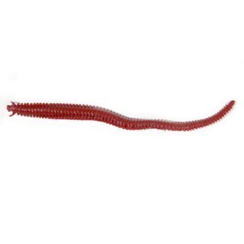 Berkley Gulp! 6 inch Scented Plastic Sandworm 10 pack Bloody