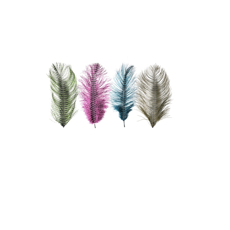 MFC Barred Ostrich Plume Blue/Black