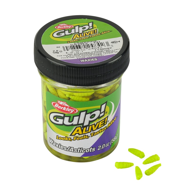 Berkley Gulp! Alive! Waxies White