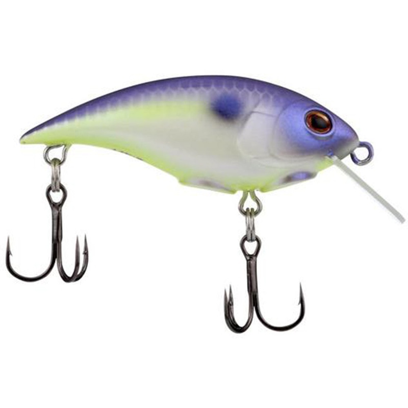 Berkley Shallow Money Badger Crankbait – 2.1 Inch Black Gold 2.1 inch – 1/4 oz